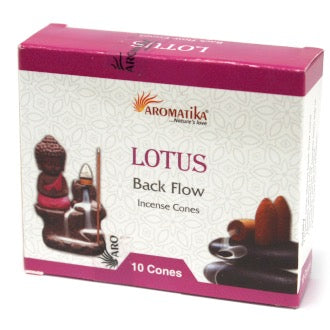 Conuri de Tamaie Aromatica - Lotus