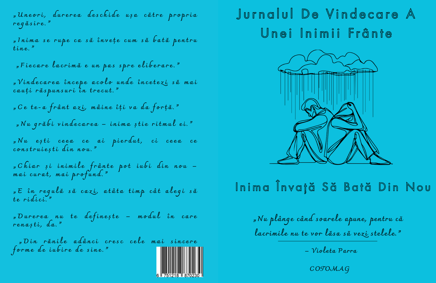 Jurnalul De Vindecare A Unei Inimi Frante - Inima Invata Sa Bata Din Nou / Carte De Dezvoltare Personala, Vindecare Emoționala Si Regasire Interioara