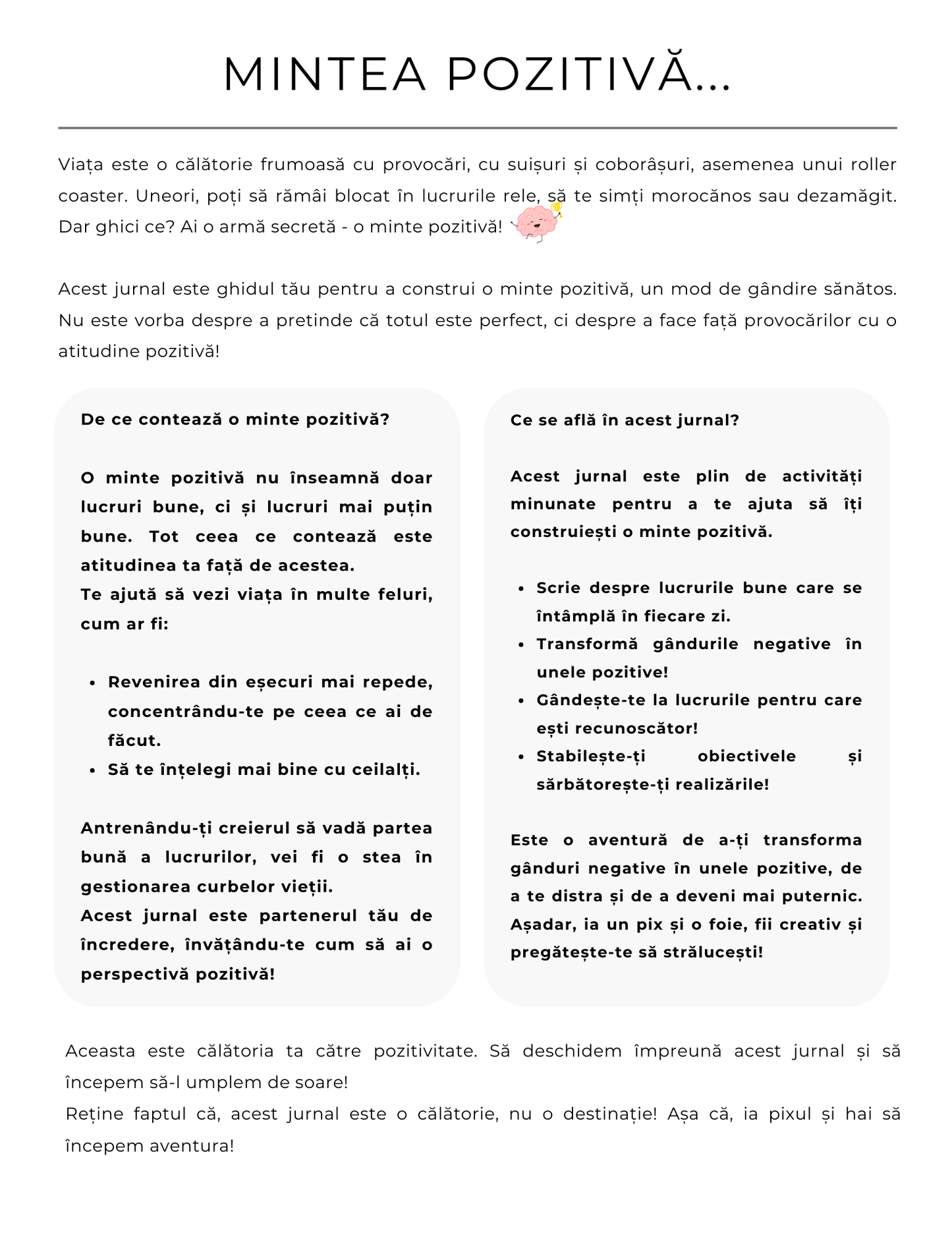 Jurnalul Mintii Pozitive - Transforma-ti Viata