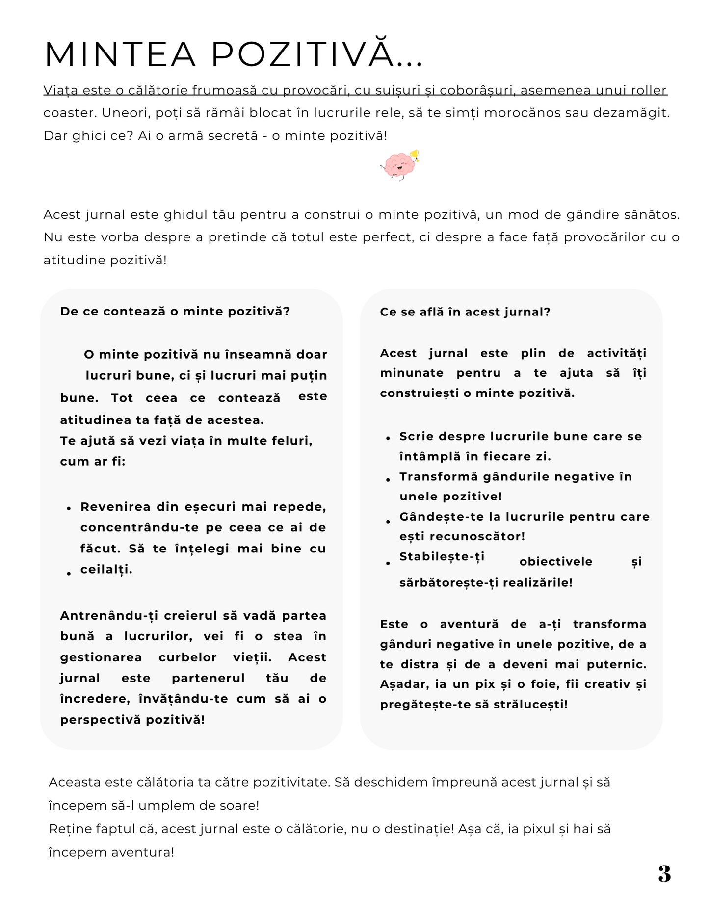 Jurnalul Mintii Pozitive - Transforma-ti Viata prin Reflectie si Motivatie / Ganduri Bune si Obiceiuri Puternice / Recunostinta si Claritate