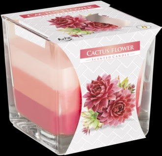 Lumanare Curcubeu - Floare de Cactus