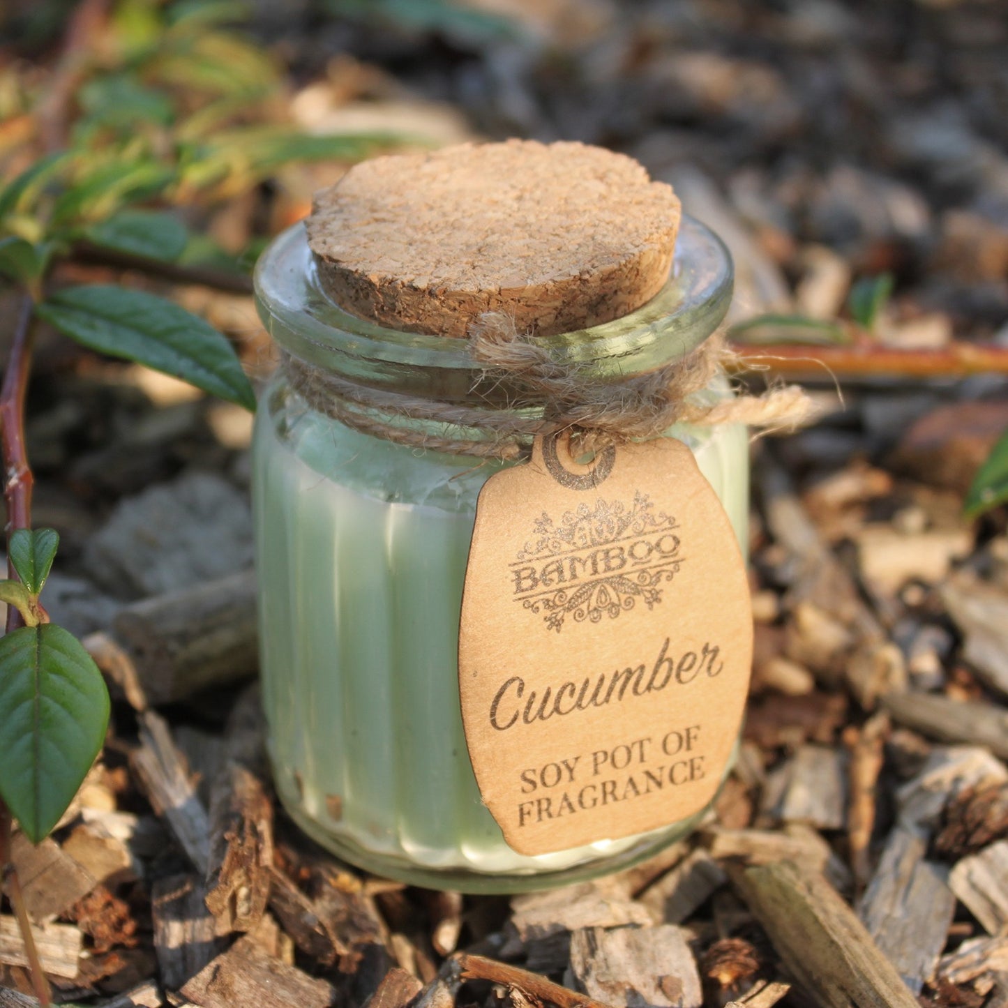 Lumanare cu Parfum de Castraveti si Soia