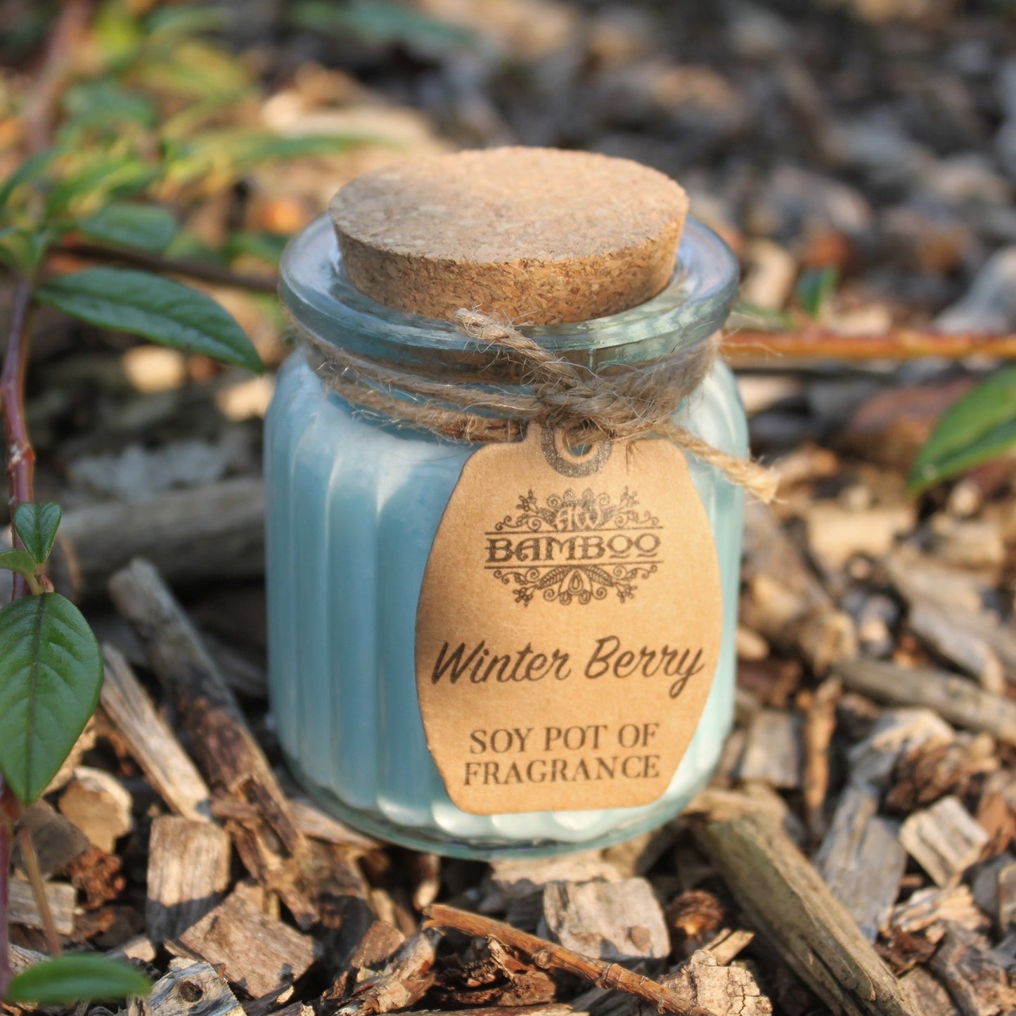 Lumanare cu Parfum de Winter Berry si Soia