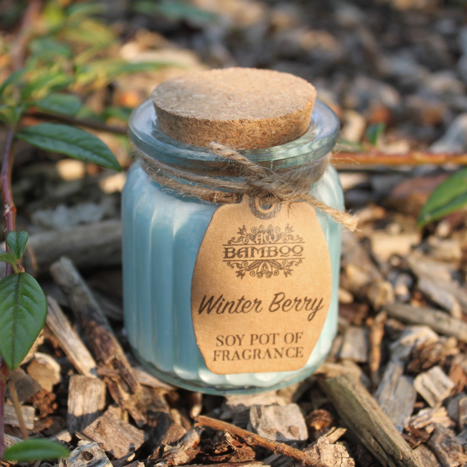 Lumanare cu Parfum de Winter Berry si Soia