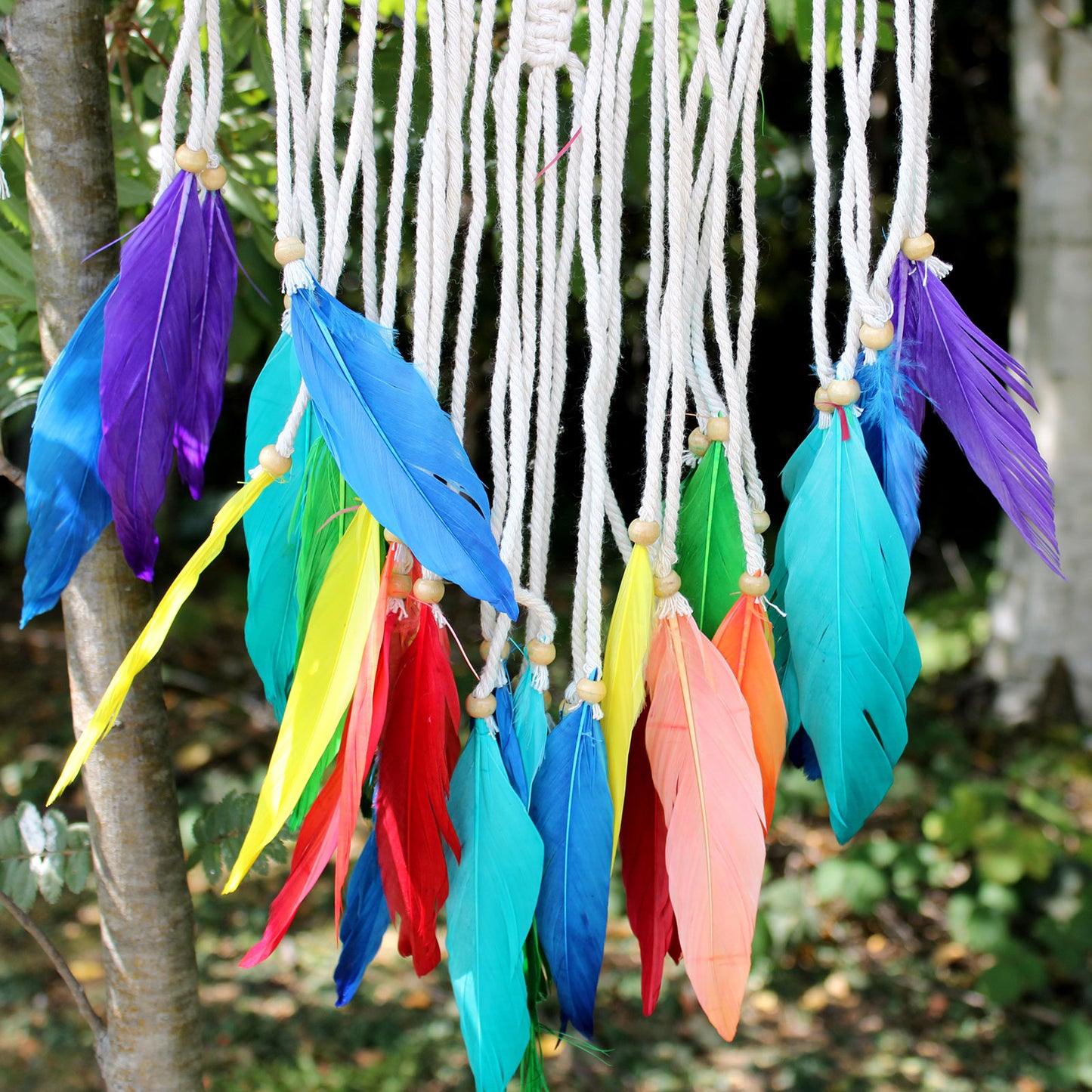 Prinzator Vise Curcubeu - Piramida