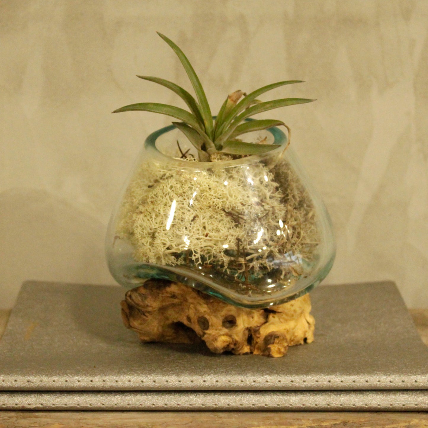 Sticla Topita pe Lemn Alb - Bol Mic