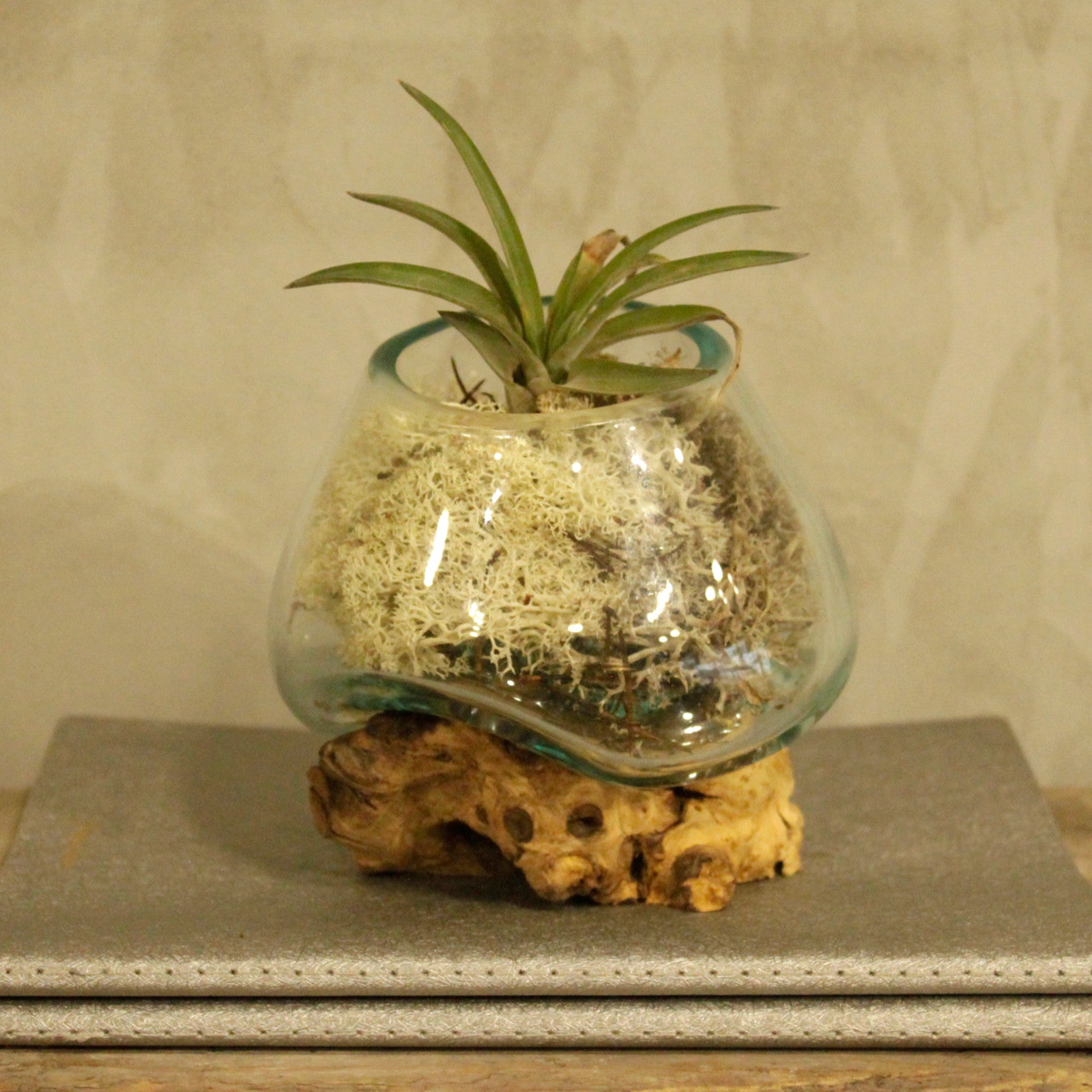 Sticla Topita pe Lemn Alb - Bol Mic