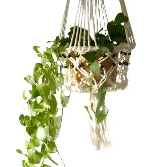 Suport Giveci Macrame