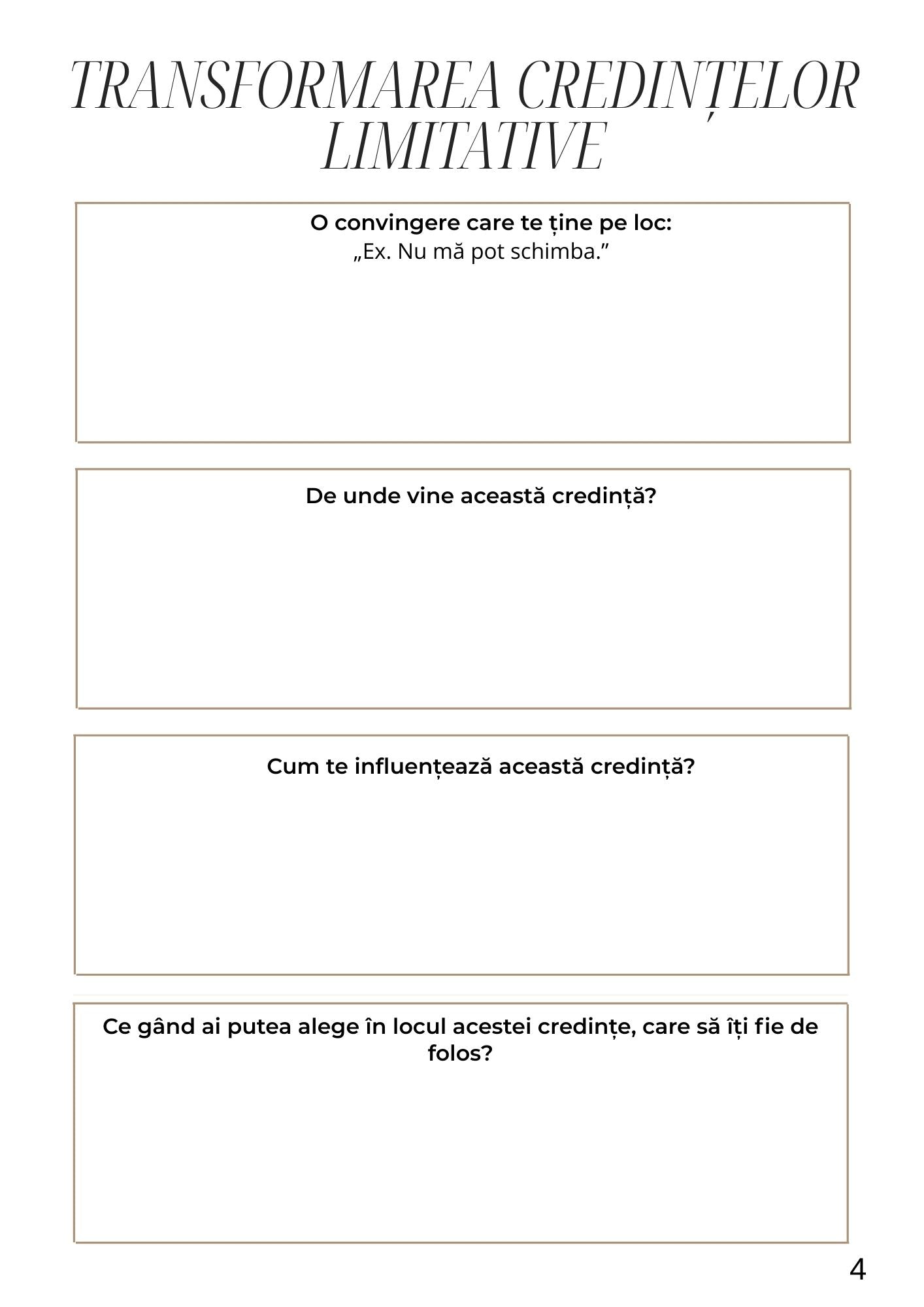 Caiet de Lucru - Plan Zilnic Pentru Manifestari / Jurnal de Manifestare si Productivitate / Planner Pentru Obiective si Intentii / Dezvoltare Personala si Mindset
