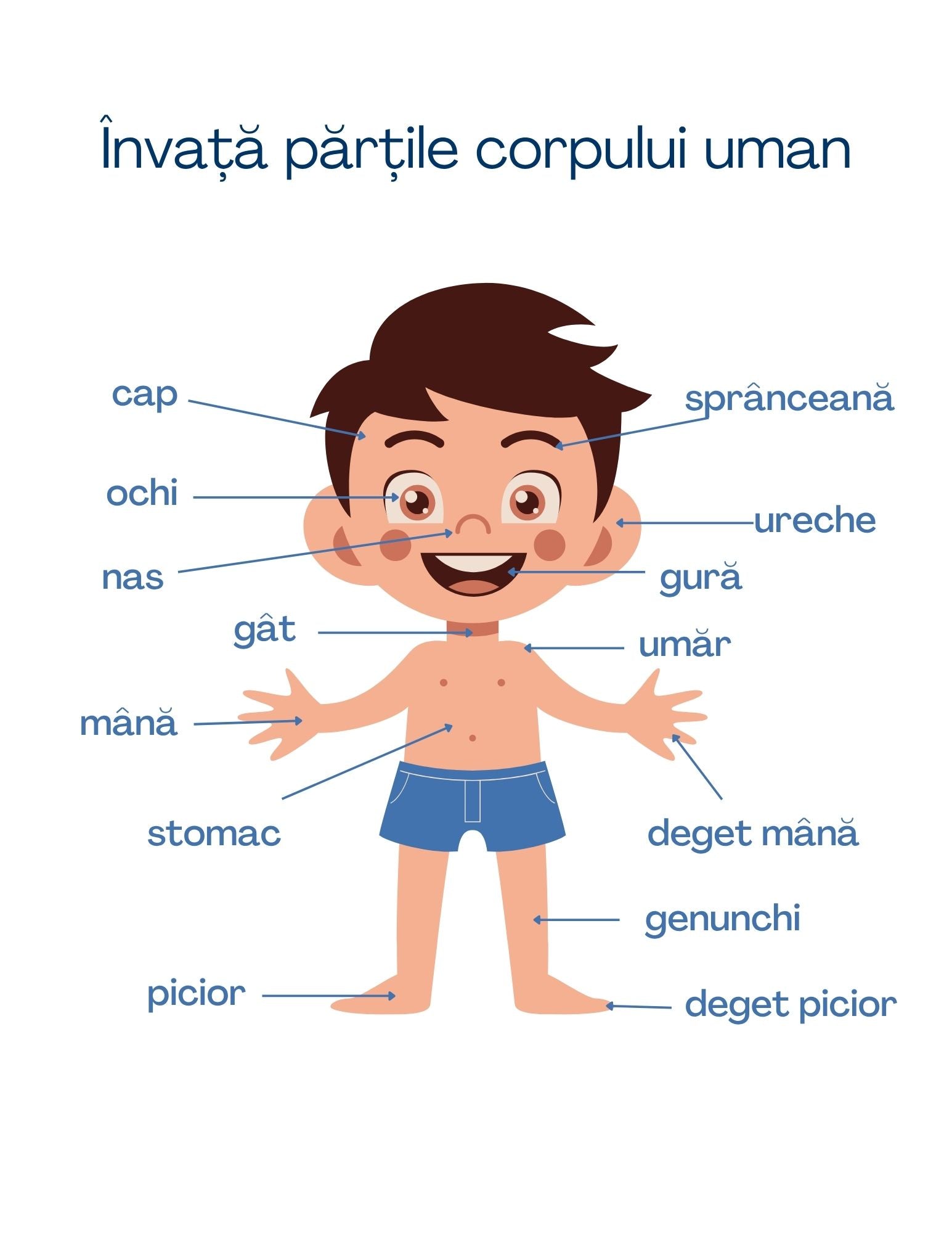 Carte cu Activitati - Alfabetul - Coloreaza si Invata Literele / Activitati Educative Pentru Copii / Joc Creativ si Educatie / Invatare Interactiva si Distractiva