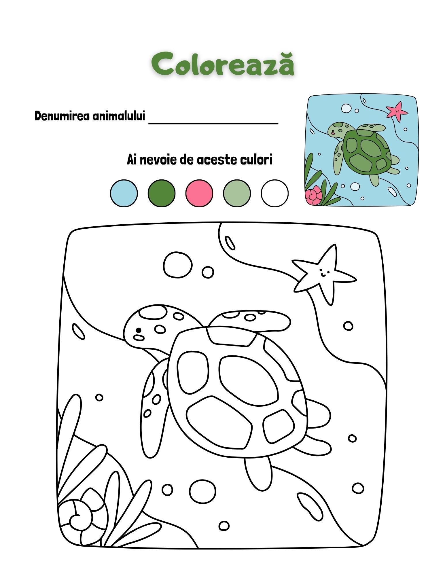 Carte cu Activitati - Alfabetul - Coloreaza si Invata Literele / Activitati Educative Pentru Copii / Joc Creativ si Educatie / Invatare Interactiva si Distractiva