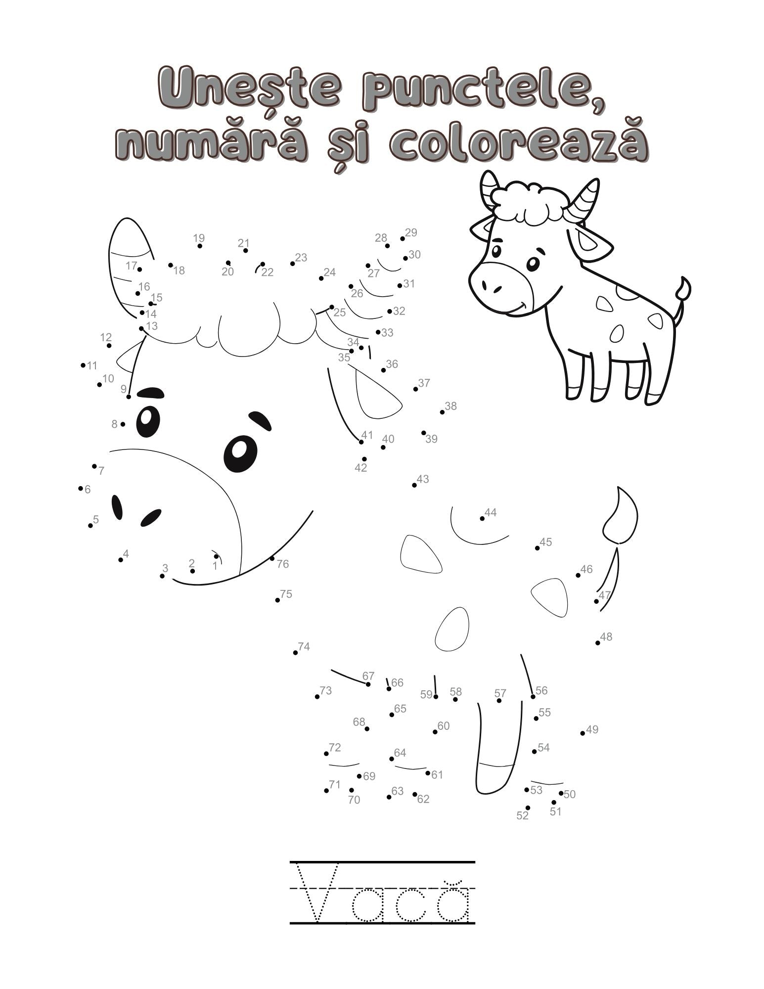 Carte cu Activitati - Culori, Numere si Zambete / Carte de Colorat / Activitati Educative Pentru Copii / Joc Creativ si Educatie / Invatare Interactiva si Distractiva