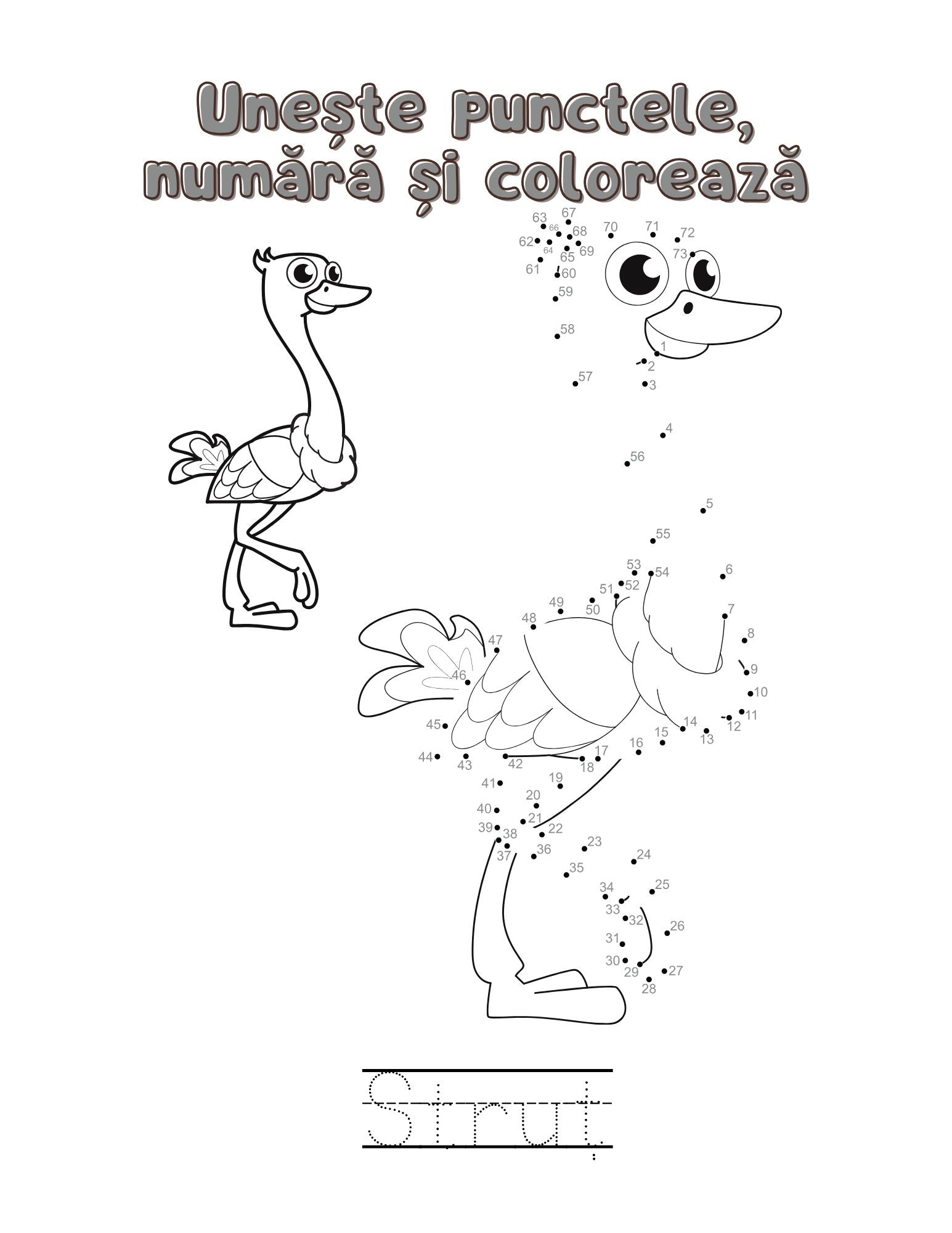 Carte cu Activitati - Culori, Numere si Zambete / Carte de Colorat / Activitati Educative Pentru Copii / Joc Creativ si Educatie / Invatare Interactiva si Distractiva