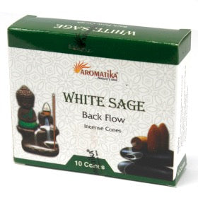 Conuri de Tamaie Aromatica - Salvie Alba