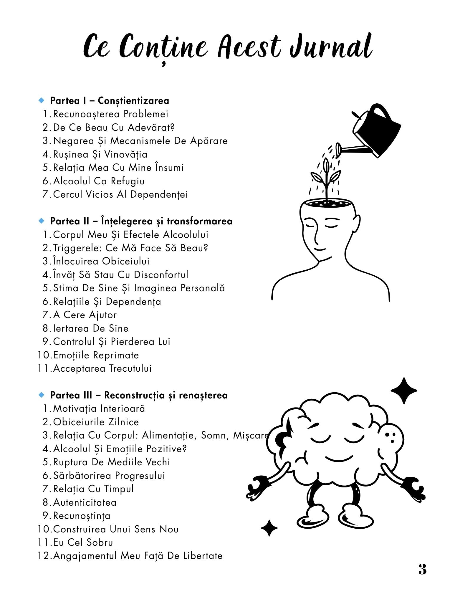 Jurnalul Eliberarii Mele - O Calatorie Pas Cu Pas Pentru Vindecarea Dependentei De Alcool - Calatoria Spre Claritate / Program de Autovindecare / Transformare Personala / Regasirea Sinelui