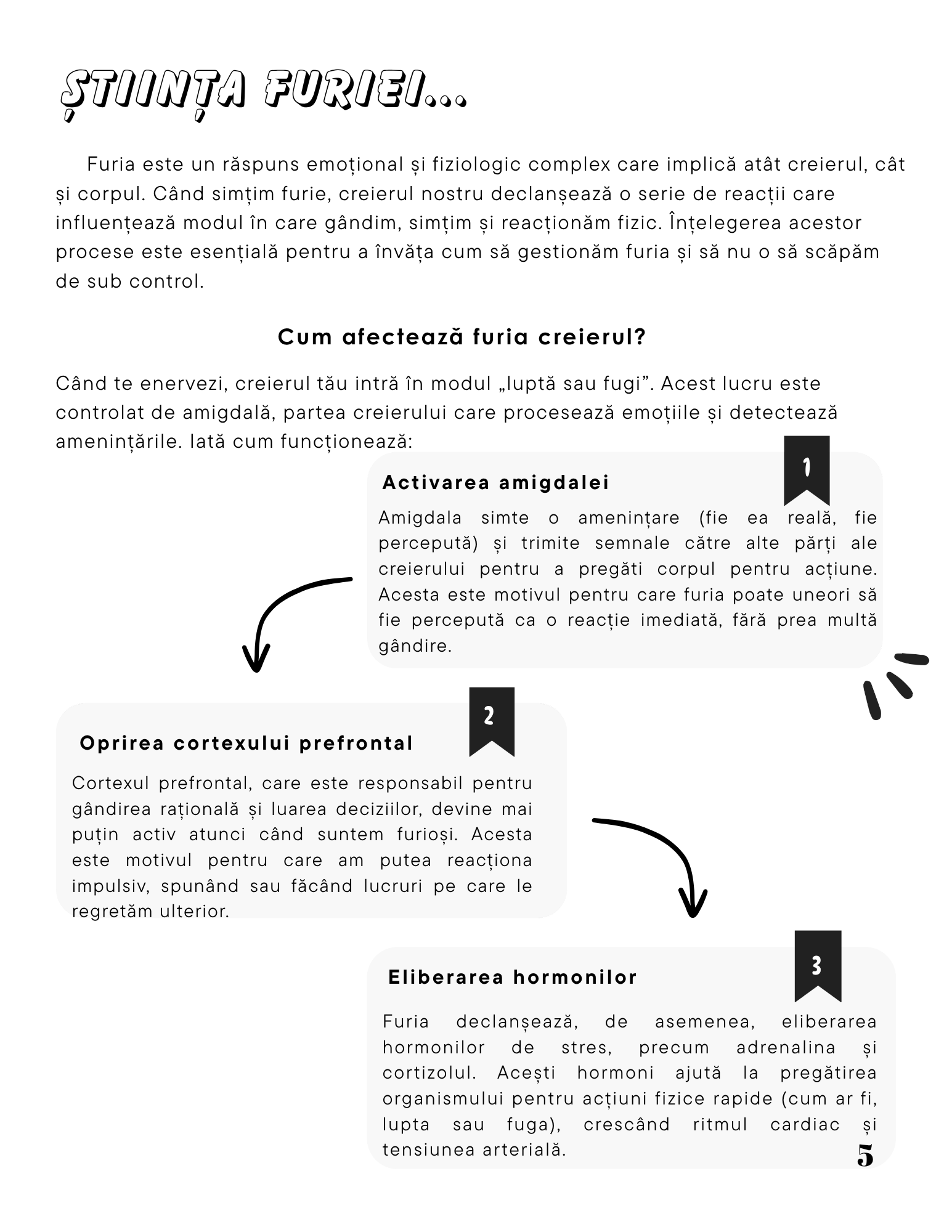 Jurnalul Meu Personal Controlul Furiei - Elibereaza-te De Furia Care Te Controleaza / Ghid de Autocontrol Emotional | Ideal pentru Copii, Adolescenti și Adulti