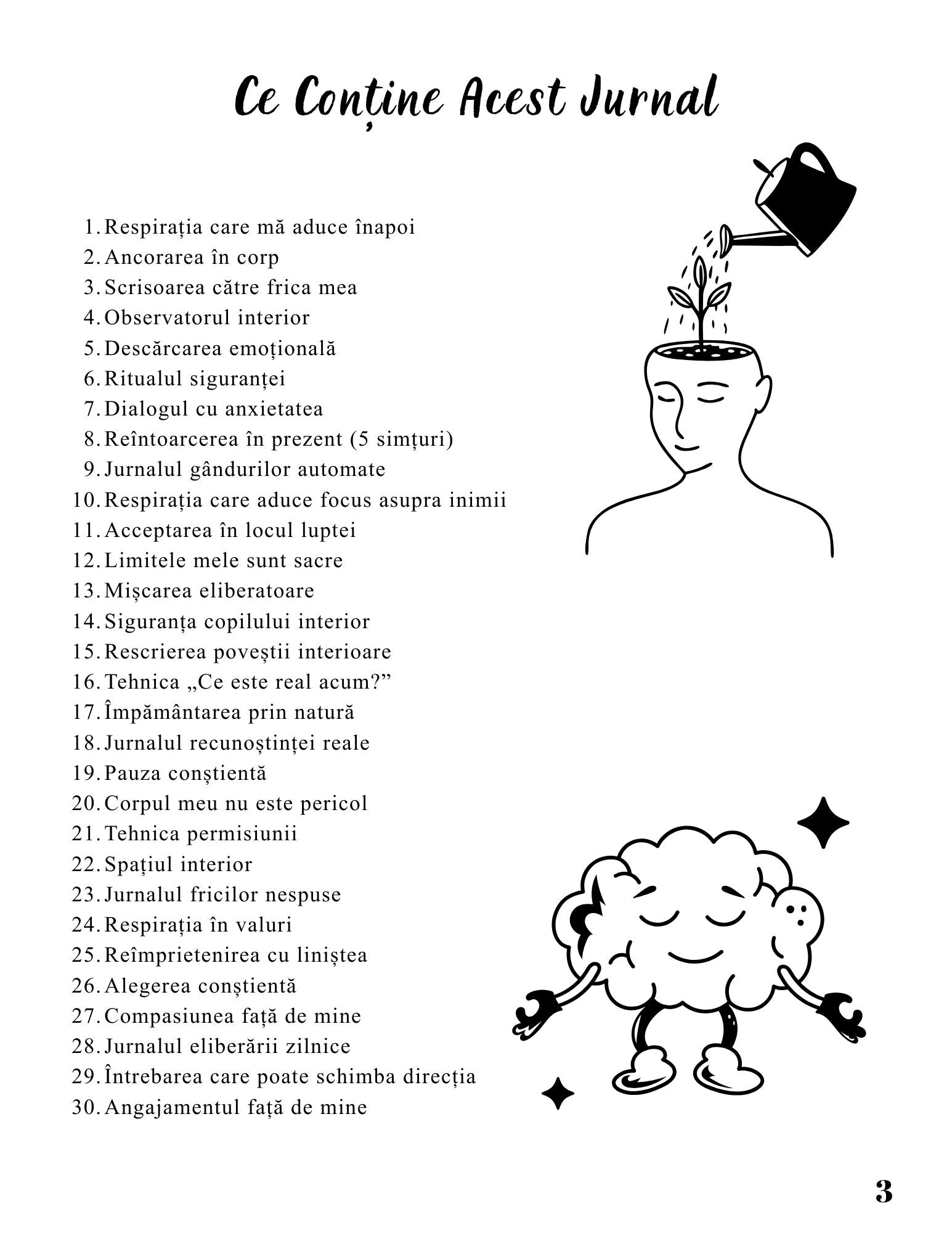 Jurnalul Vindecarii Mele - 30 de Tehnici Pentru Anxietate, Stres, Atacuri de Panica, Frici si Depresie / Ghid Practic / Echilibru Emotional / Autocunoastere / Claritate Mentala / Dezvoltare Personala