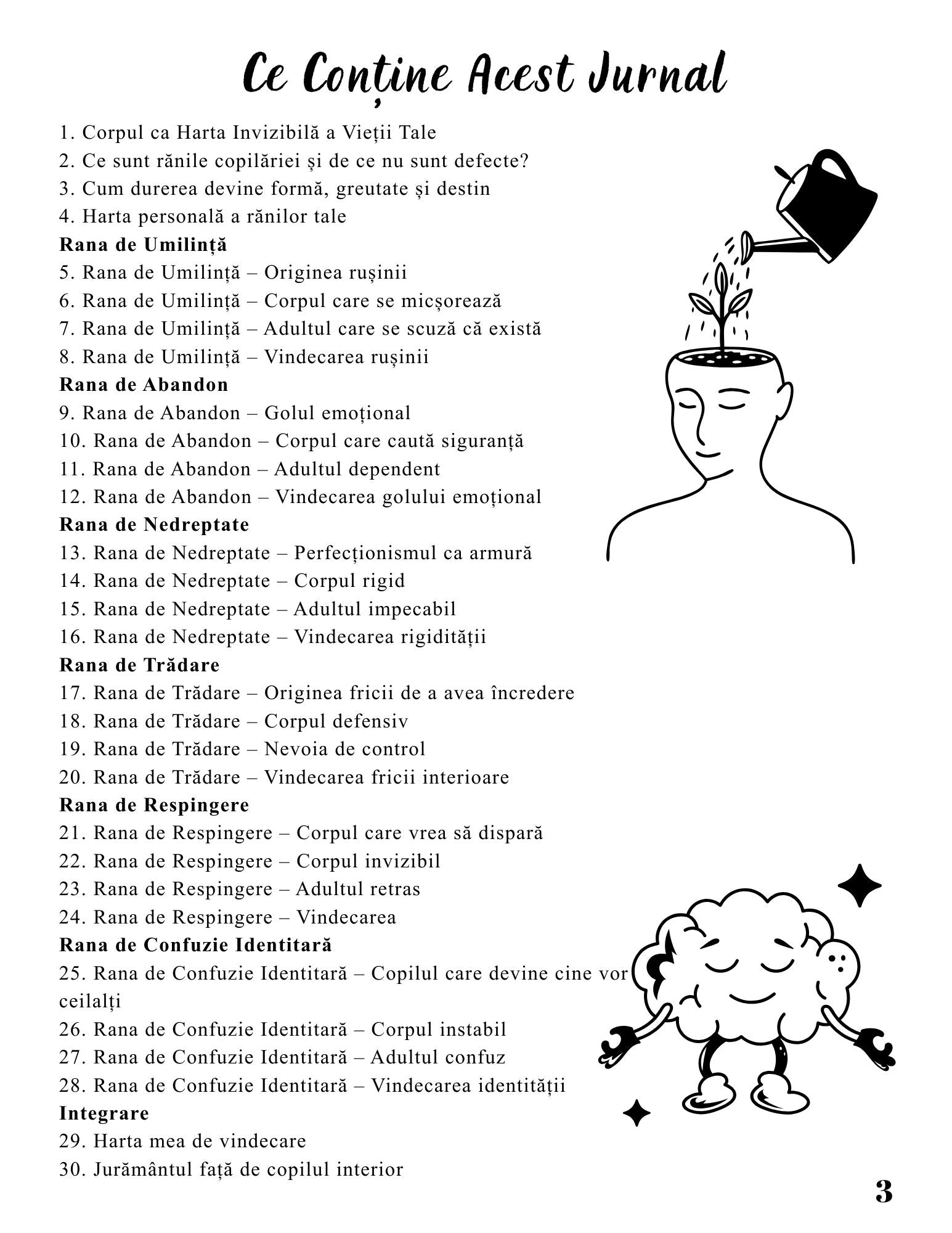 Jurnalul Vindecarii Mele - Cele 6 Rani ale Copilariei si Harta Invizibila a Corpului / Ghid Practic / Echilibru Emotional / Autocunoastere / Claritate Mentala / Dezvoltare Personala