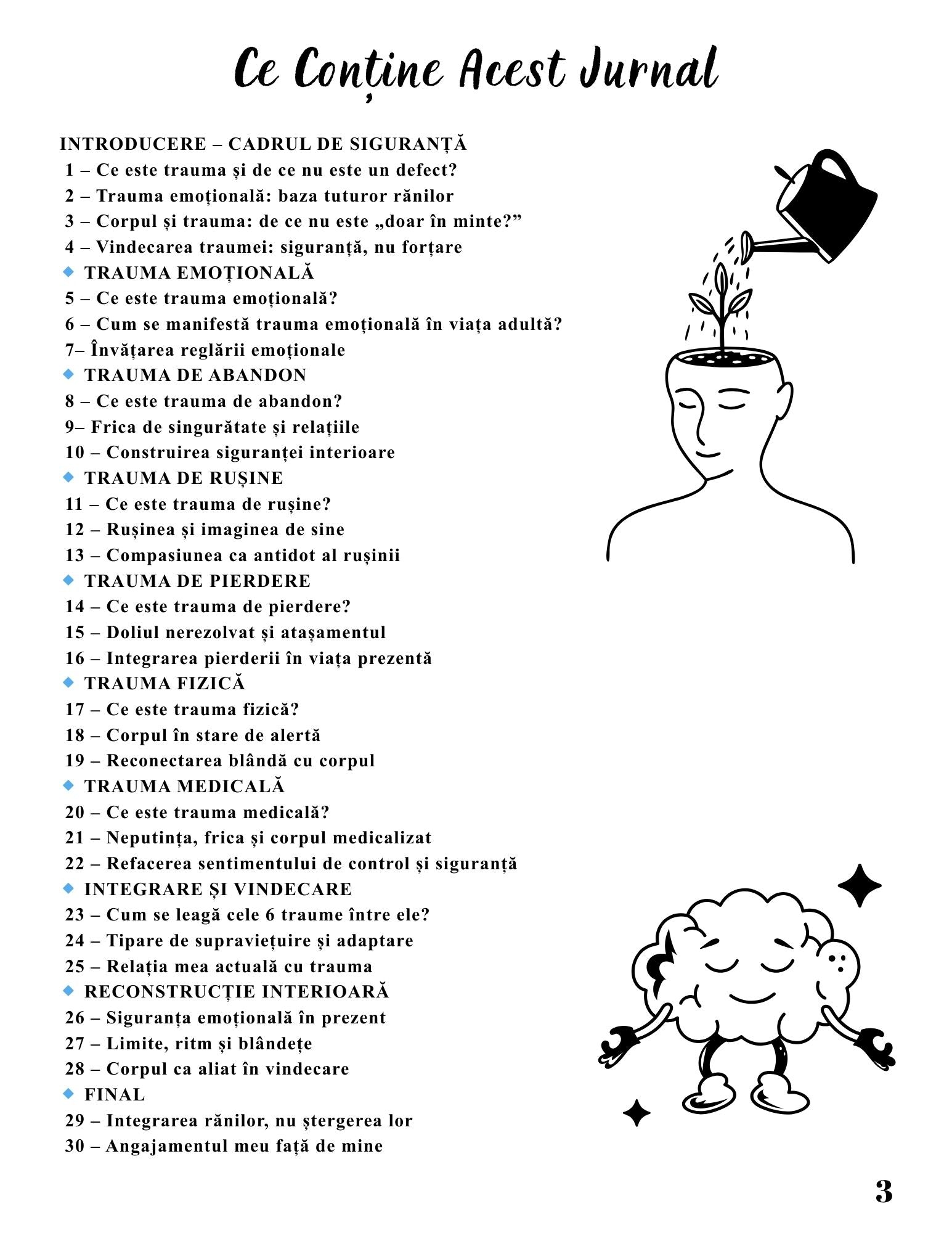 Jurnalul Vindecarii Mele - Cele 6 Traume Care Ne Modeleaza Viata / Ghid Practic / Echilibru Emotional / Autocunoastere / Claritate Mentala / Dezvoltare Personala