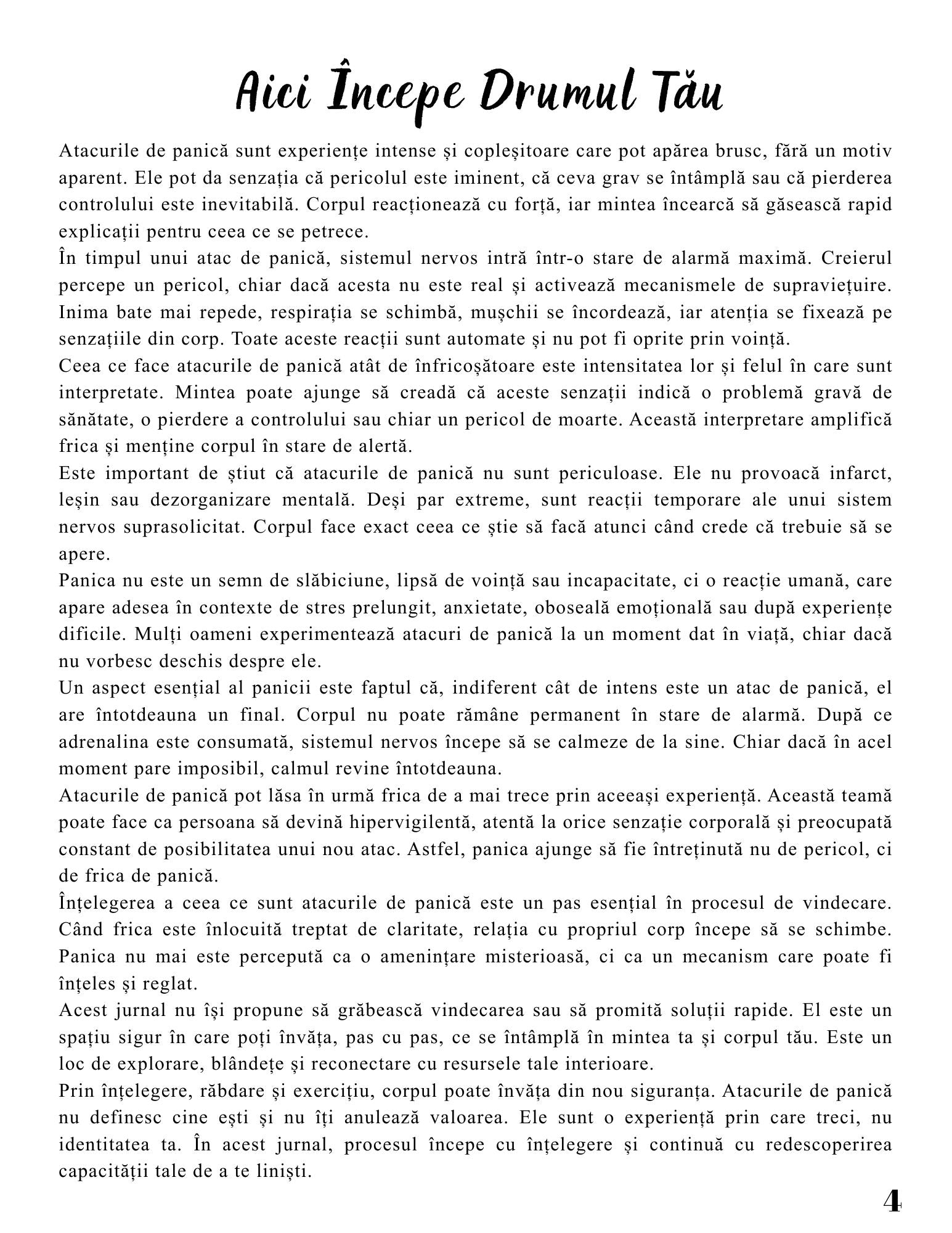 Jurnalul Vindecarii Mele - Tulburare de Panica / Ghid Practic / Echilibru Emotional / Autocunoastere / Claritate Mentala / Dezvoltare Personala 