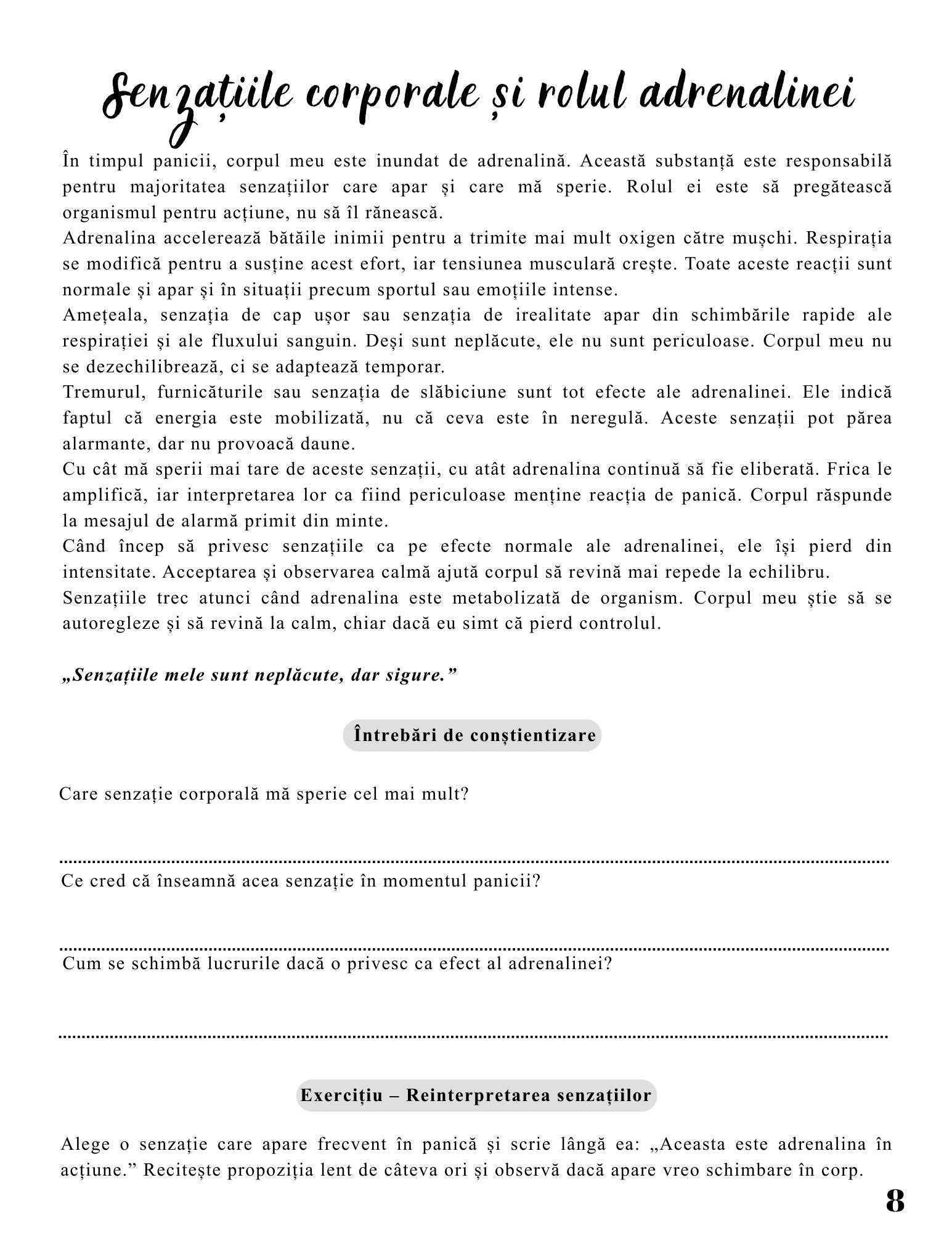 Jurnalul Vindecarii Mele - Tulburare de Panica / Ghid Practic / Echilibru Emotional / Autocunoastere / Claritate Mentala / Dezvoltare Personala 