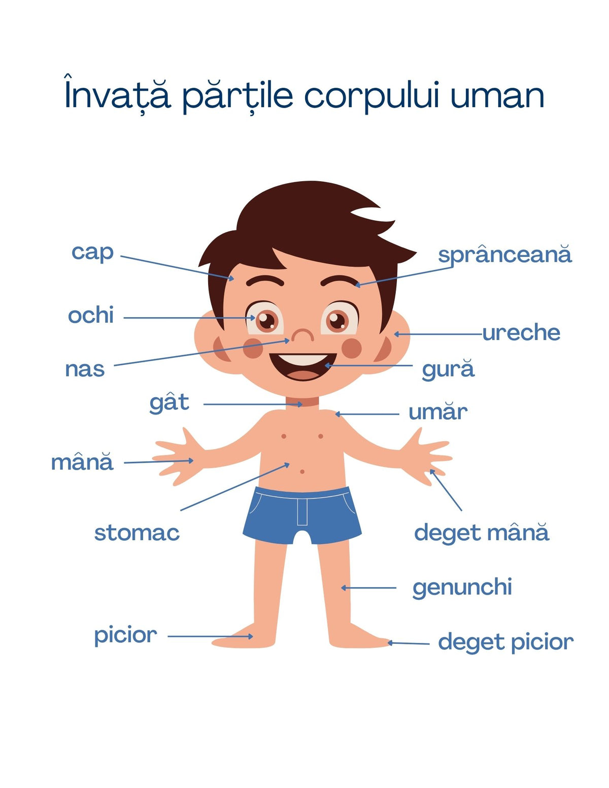 Interior carte cu activități PDF despre alfabet, cu trasarea literelor mari și mici, labirinturi, asociere imagine-cuvânt și exerciții imprimabile – Cotomag